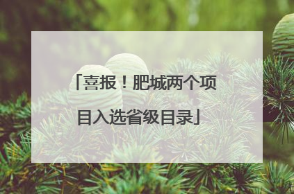 喜报！肥城两个项目入选省级目录